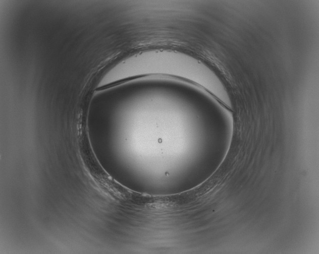X0000076370356200610061104