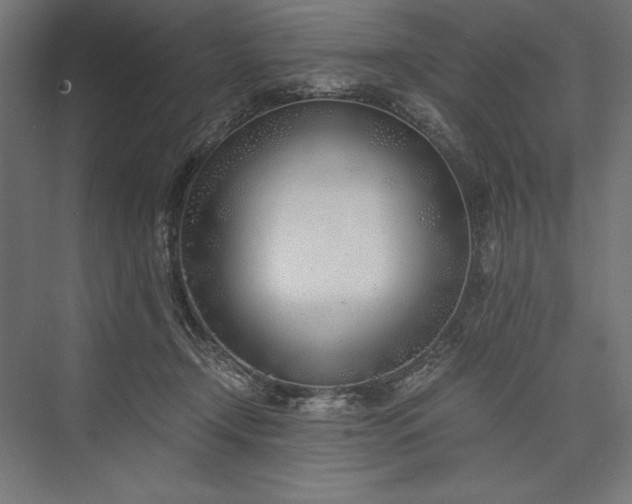 X0000076370366200610061104