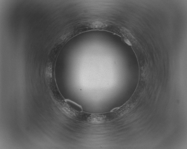 X0000076370368200610061104
