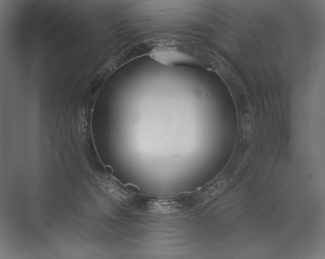 X0000076370372200610061104