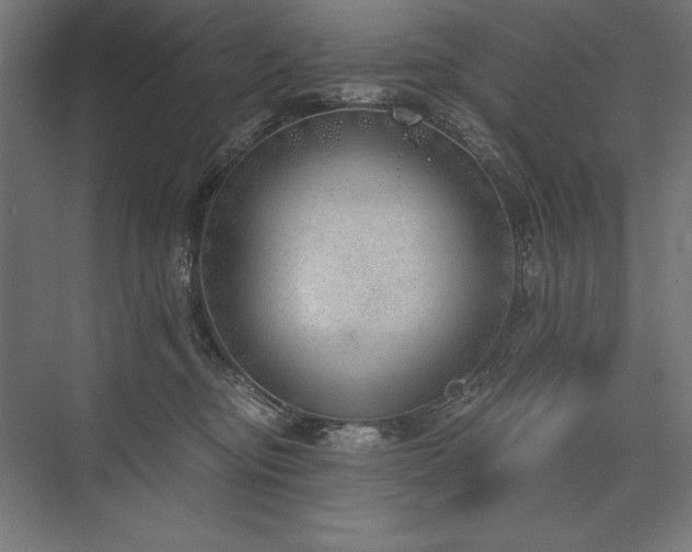 X0000076370374200610061104
