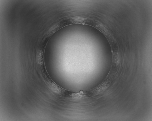 X0000076370378200610061105