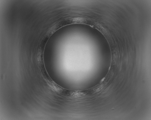 X0000076370379200610061105