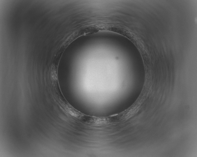 X0000076370384200610061105
