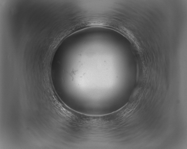 X0000076370385200610061104