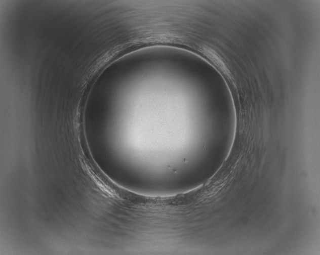 X0000076370389200610061104