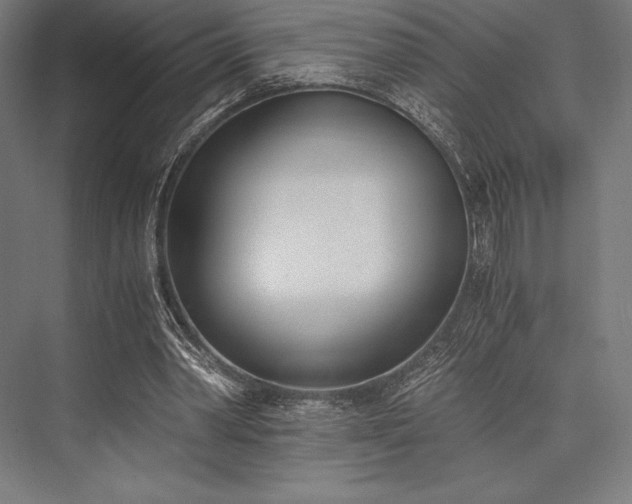 X0000076370390200610061104