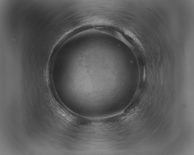 X0000076370391200610061104