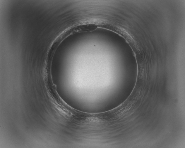 X0000076370392200610061104