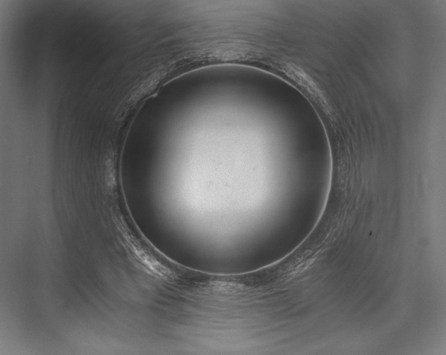 X0000076370393200610061104