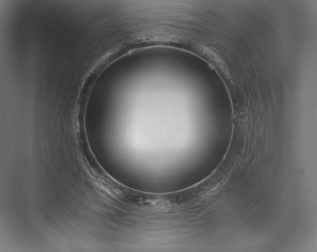 X0000076370395200610061104
