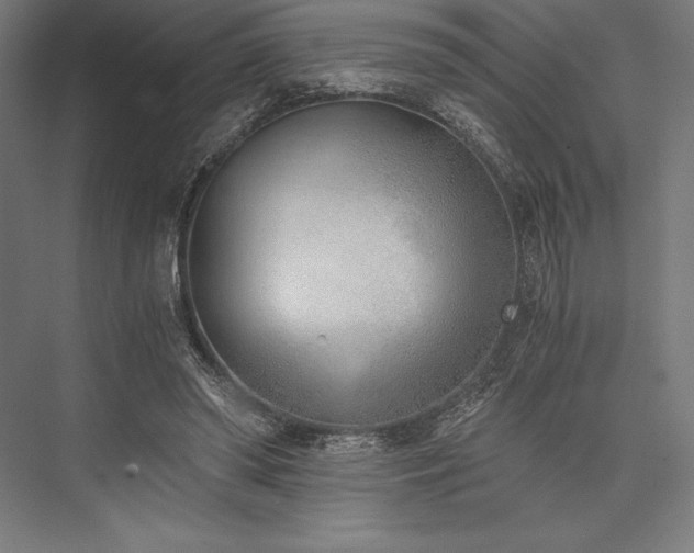 X0000076370398200610061104