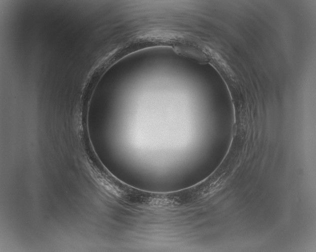 X0000076370399200610061104