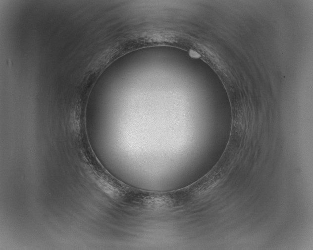 X0000076370402200610061104