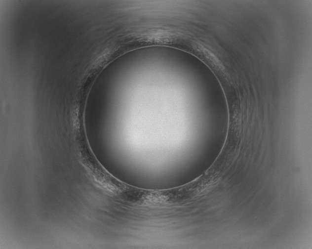 X0000076370403200610061104