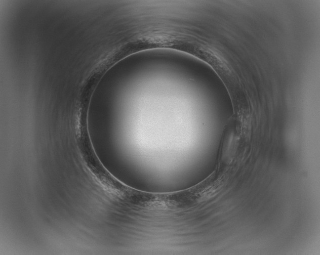 X0000076370404200610061104