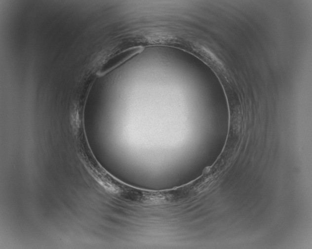 X0000076370405200610061104
