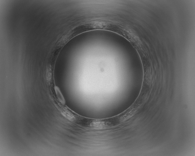 X0000076370413200610061103