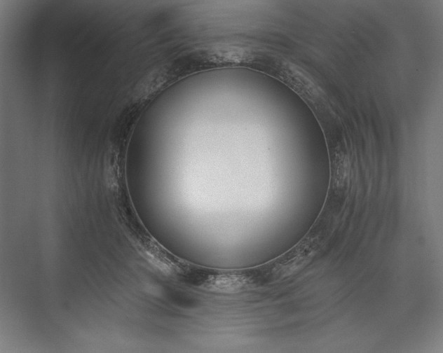 X0000076370414200610061103
