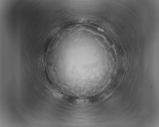 X0000076370415200610061103