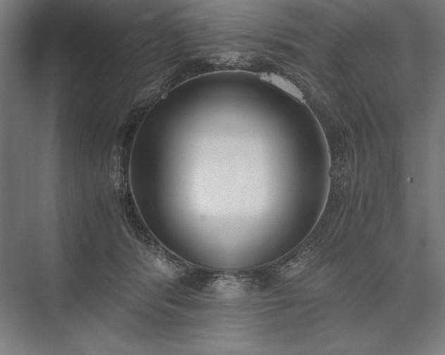 X0000076370416200610061103