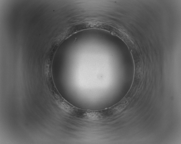 X0000076370417200610061103