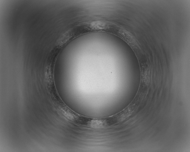 X0000076370418200610061103