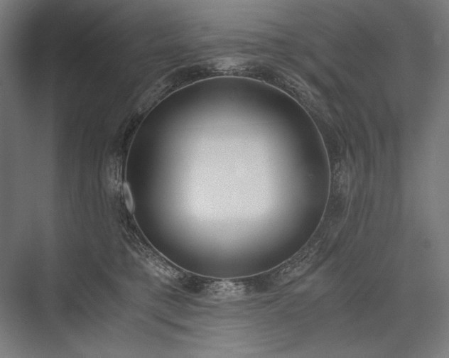X0000076370421200610061103