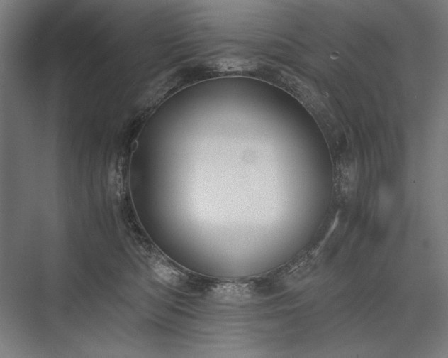 X0000076370422200610061103