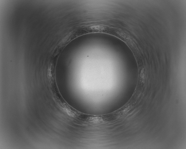 X0000076370424200610061103