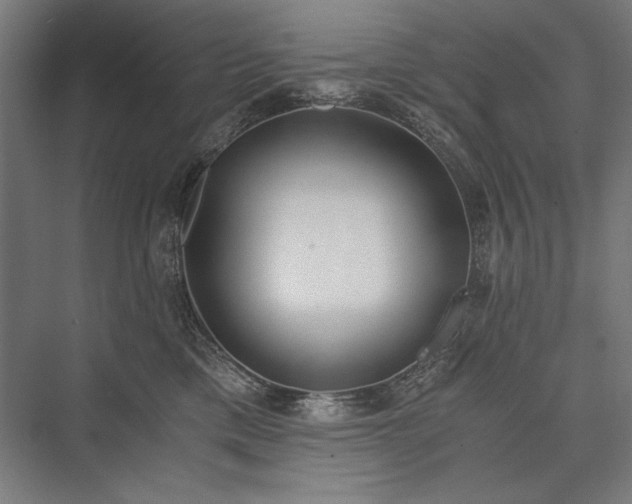 X0000076370425200610061103