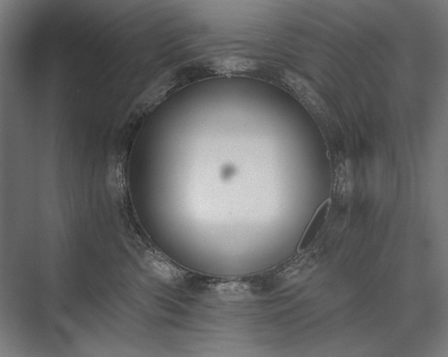 X0000076370426200610061103