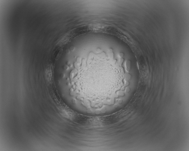 X0000076370427200610061103