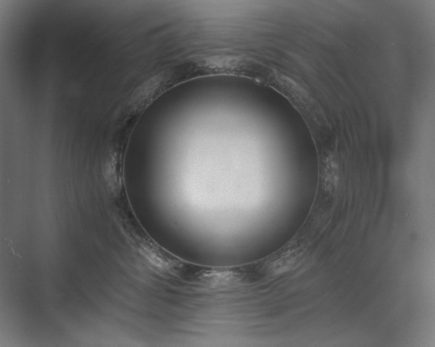 X0000076370428200610061103