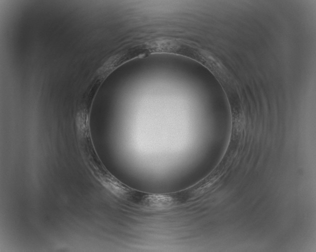 X0000076370429200610061103