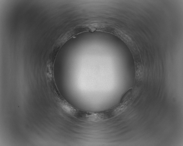 X0000076370430200610061103
