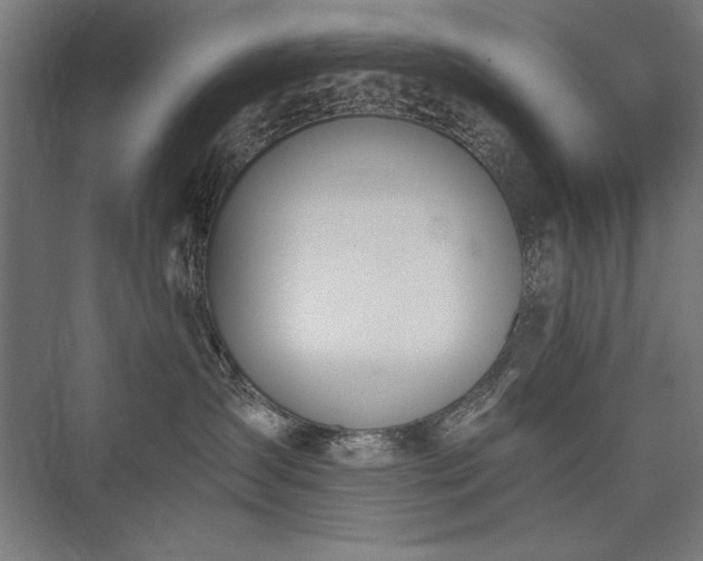X0000076370431200610061103