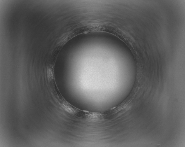 X0000076370432200610061103