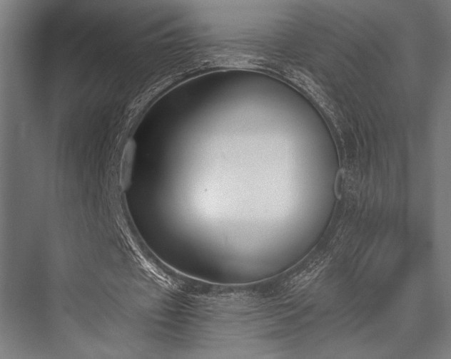 X0000076370433200610061102