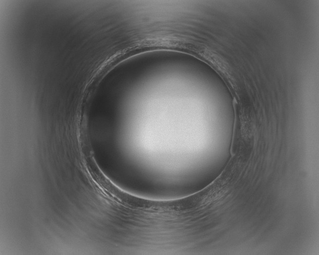 X0000076370434200610061102