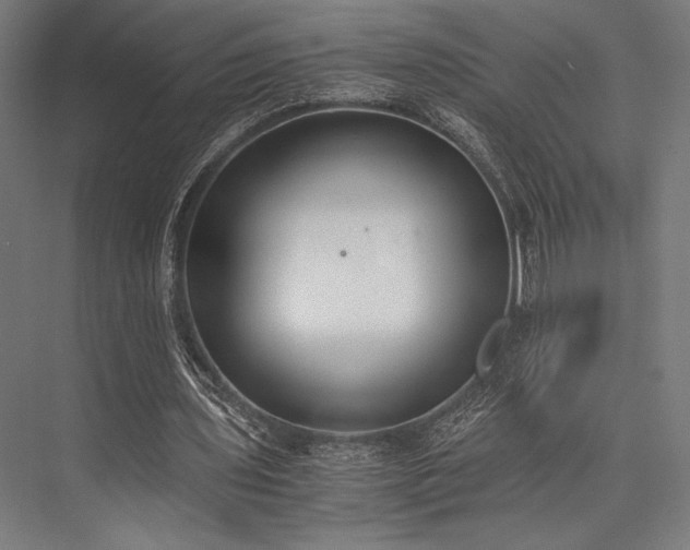 X0000076370435200610061102