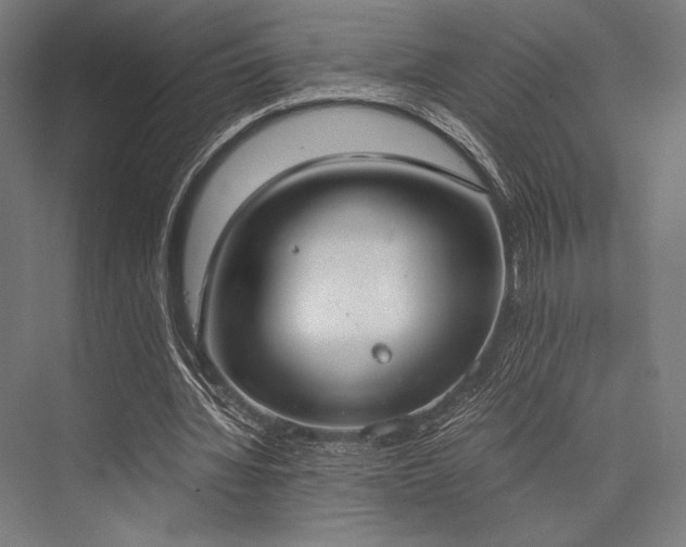 X0000076370436200610061102