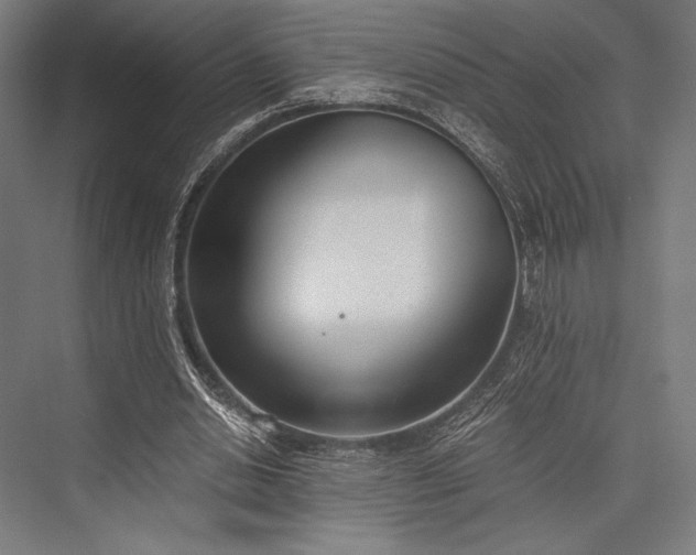 X0000076370438200610061102