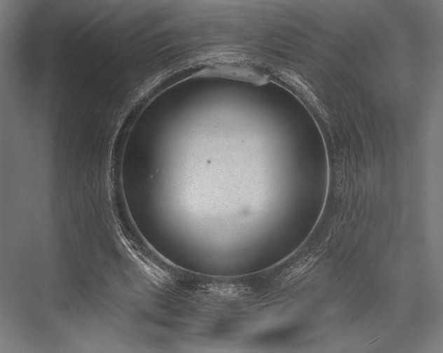 X0000076370439200610061102