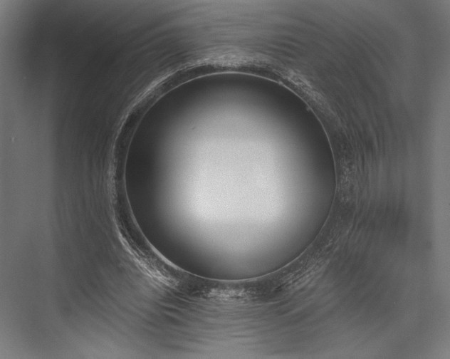 X0000076370440200610061102
