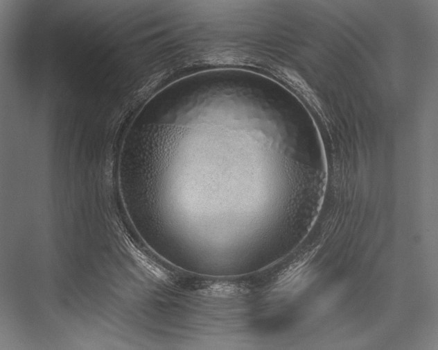 X0000076370441200610061102