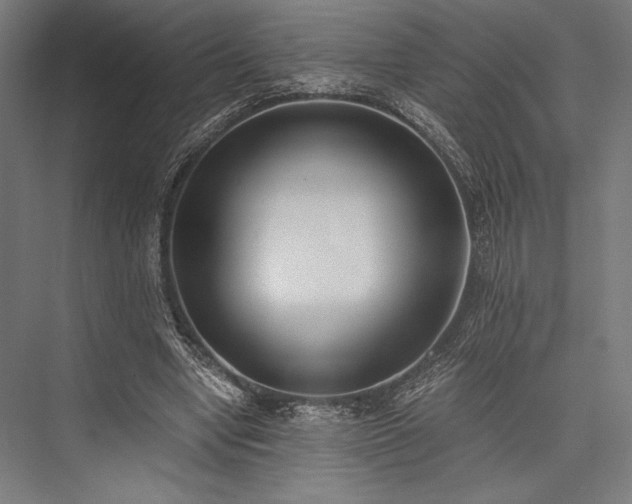 X0000076370442200610061102