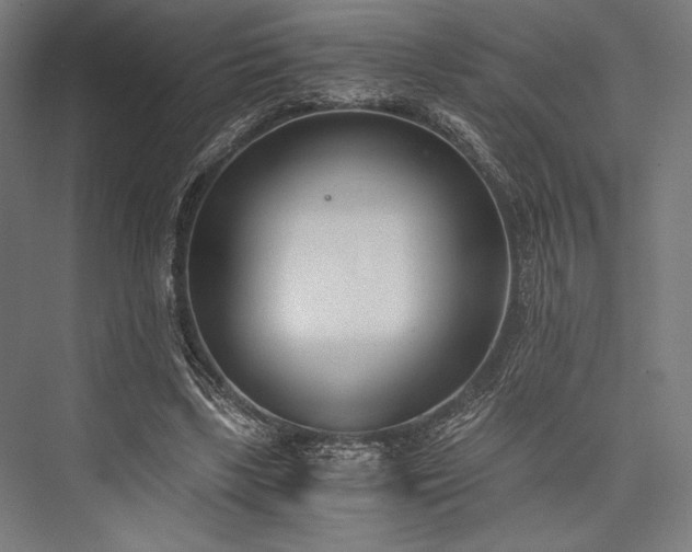 X0000076370443200610061102