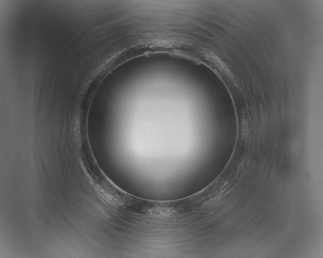 X0000076370444200610061102