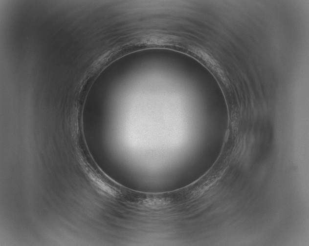 X0000076370445200610061102
